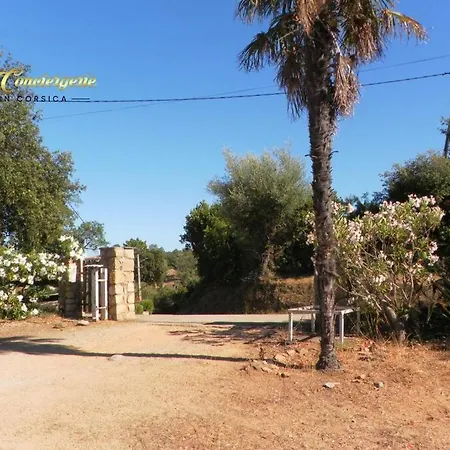 Petite Maison Independante Vue Mer 5 Min Plage * Olmucciu